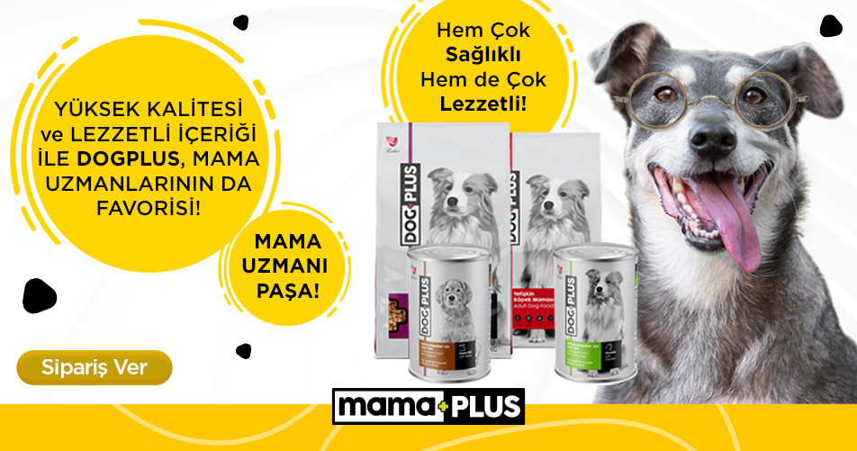 Köpek Maması Kedi Maması ve Ürünleri Mama Plus