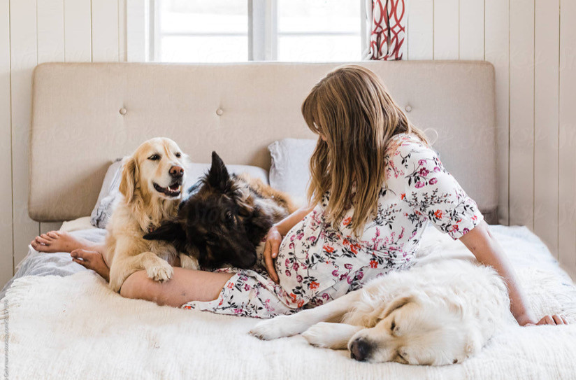 Köpeğinizin Sağlığını İyileştirmenin 5 Anahtar Yolu