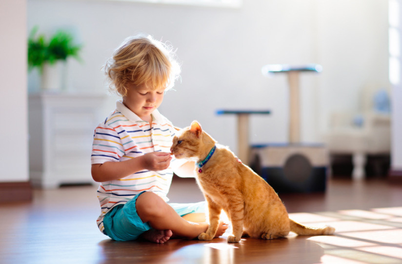 Evcil Hayvan Sahibi Olmanın Çocuğunuza Öğretebileceği 8 Ders