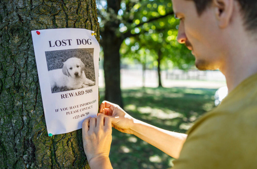 Evcil Hayvanınızın Kaybolmasını Veya Çalınmasını Nasıl Önlersiniz?